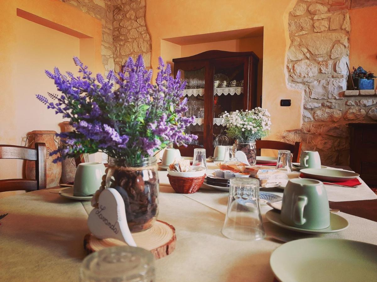 Agriturismo Il Casolare Di Nonno Mario 마노펠로 외부 사진