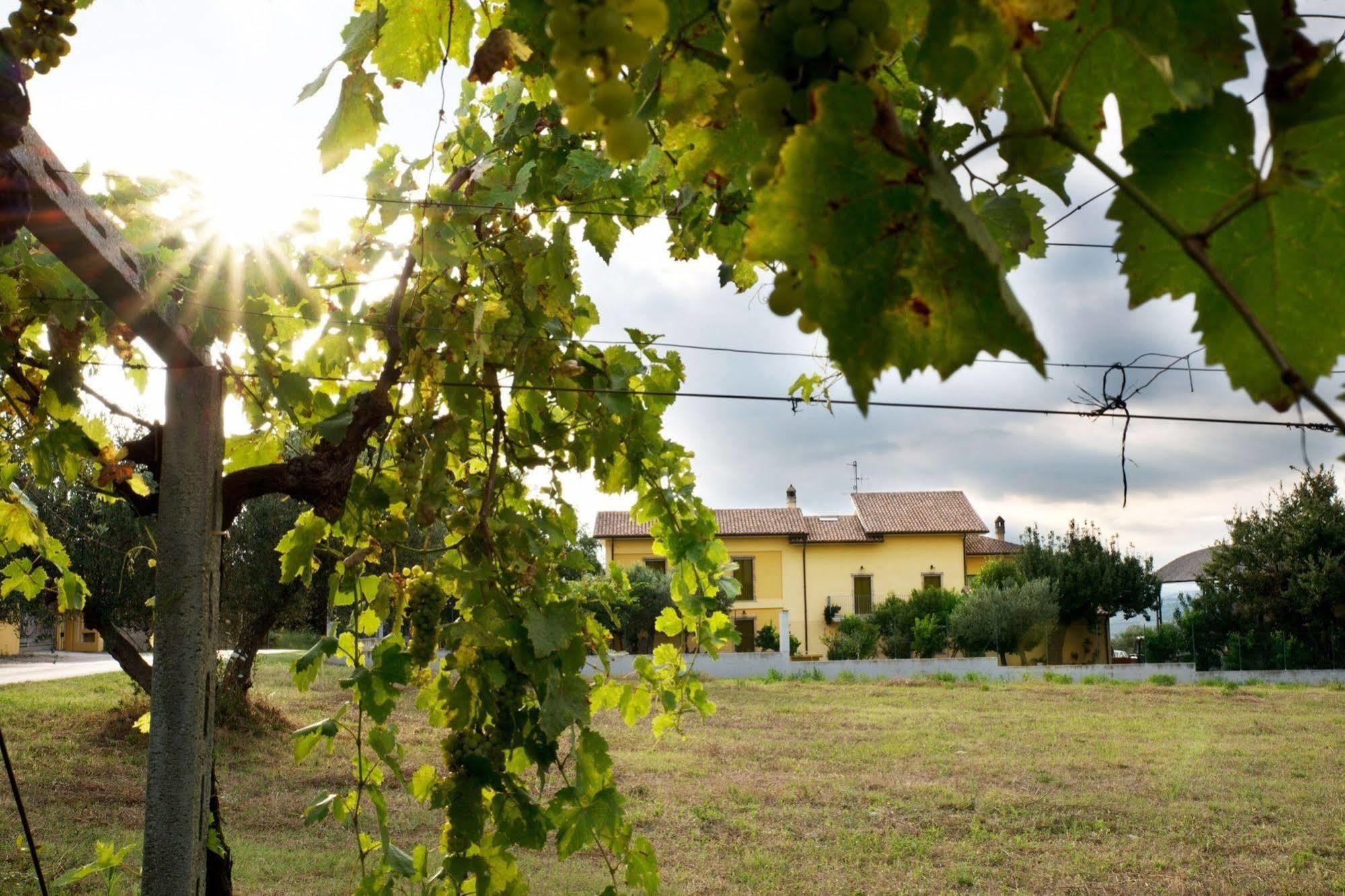 Agriturismo Il Casolare Di Nonno Mario 마노펠로 외부 사진